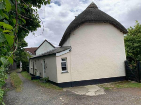 Forsythia cottage with surf and cycle hire